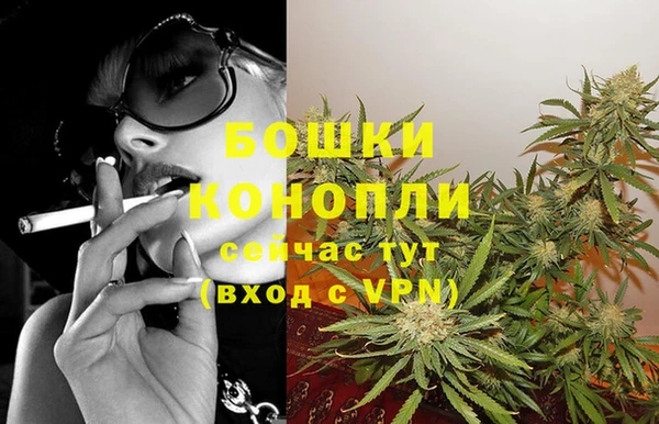 стафф Козловка