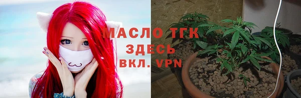 гидропоника Коряжма