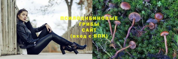 стафф Козловка