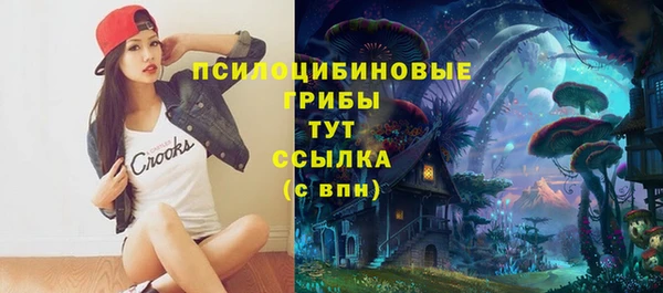 гидропоника Коряжма