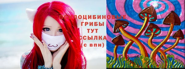метадон Кодинск