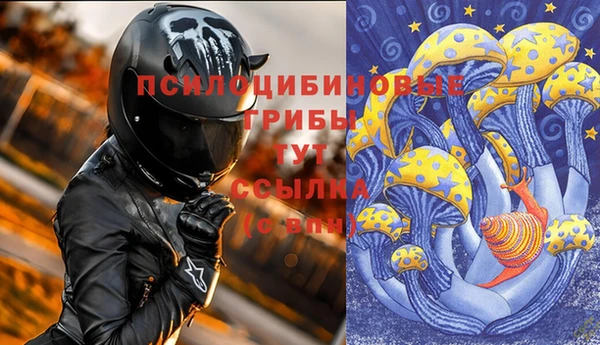 гидропоника Коряжма