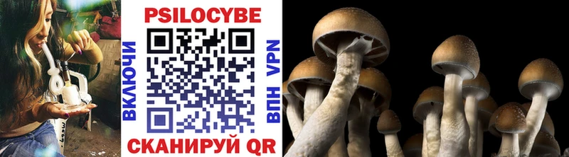 Галлюциногенные грибы мухоморы  Купить  Вятские Поляны 